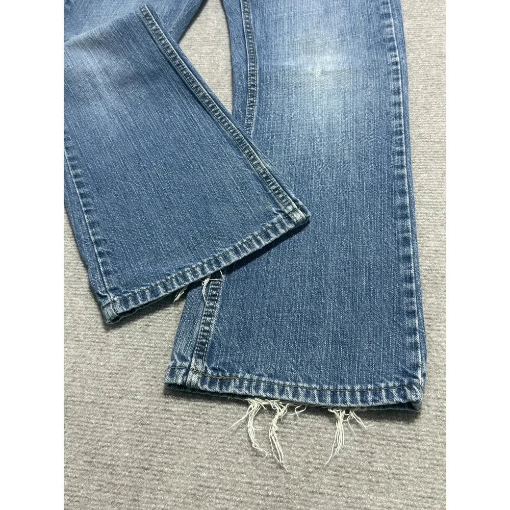 Levis levis 527